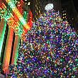ニューヨーク証券取引所のクリスマスツリー