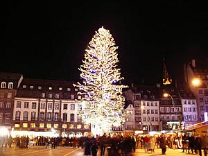 アルザス・ストラスブールのクレベール広場にクリスマスになると毎年ツリーが飾られる。