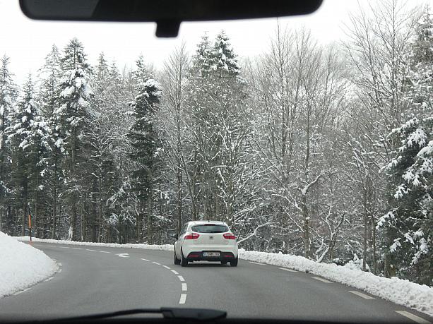ロレーヌ地方はヴォ―ジュにあるラ・ブレスの雪山へ向かっています。山道もすっかり雪景色。