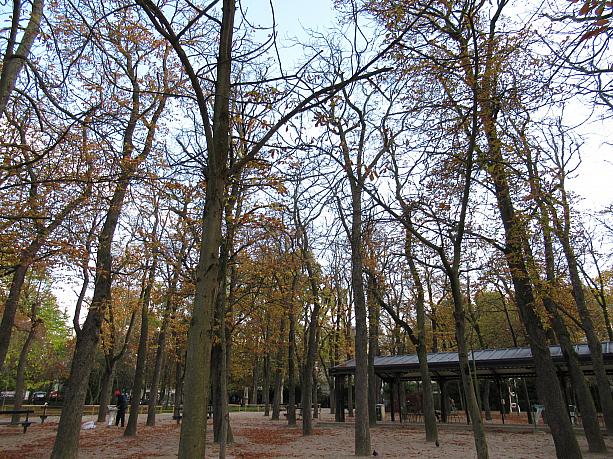 パリもすっかり秋模様。リュクサンブール公園の木々も秋の雰囲気を醸し出しています。
