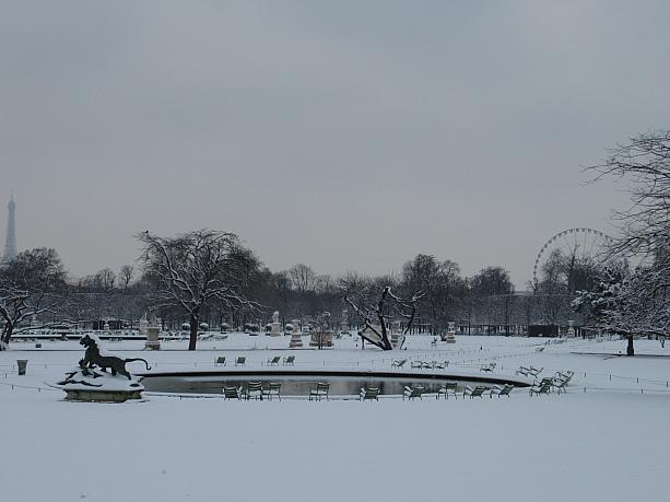 隣のチュイルリー庭園は雪のため閉鎖。