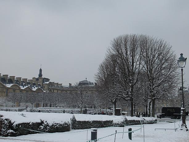 ぐっと気温の下がったパリ、ついに雪が積もりました。ここまで積もるのは珍しいこと。