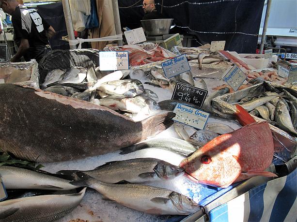 豪快に並べられた魚。切り身も売っています。