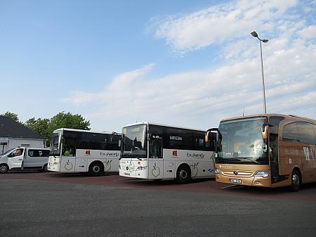 Bus vertsの発着所とバス