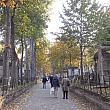 秋の墓地散策はロマンチックです