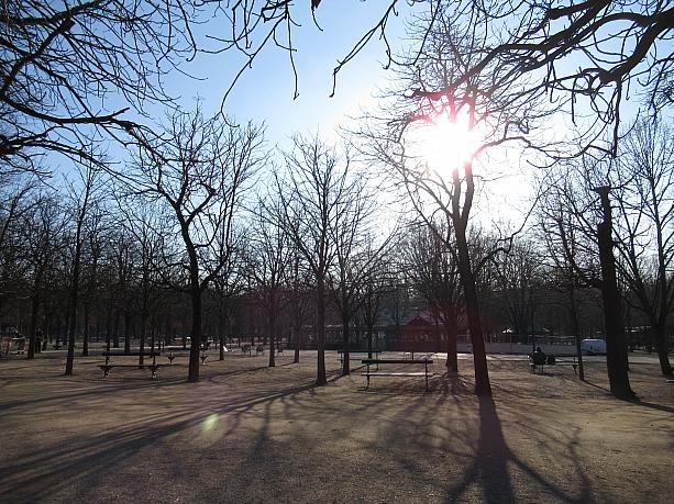 パリではこのところお天気に恵まれています。ここはリュクサンブール公園