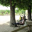 のんびりとひなたぼっこを楽しむ人の姿。お天気が続くパリでは公園の解放は待ちに待ったニュースでした。