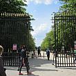 リュクサンブール公園です。パリ市民の憩いの場である公園がようやくオープンされました。