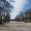 パリジャンの憩いの場、リュクサンブール公園です。