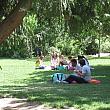 シャン・ド・マルス公園にいる人達をチェックしてみました。芝生の木陰でお弁当、ピクニック気分でいいですね。
