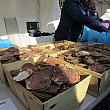 ブルターニュのおいしいものが大集合♫モンマルトルのホタテ祭りに行ってきました！ モンマルトル ブルターニュ地方 グルメ ホタテ 牡蠣屋台