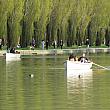 池ではボート遊びもできるんですよ。春から夏には気持ちいいアクティビティですね。