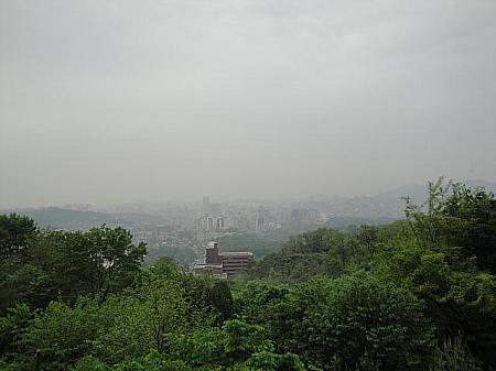 ソウルの街は、この木立の向こうに見えます。

