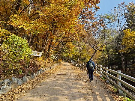 南漢山城はまだ先。ここからはトレッキングになります。春や秋は素晴らしい景色の中を歩くことができます。