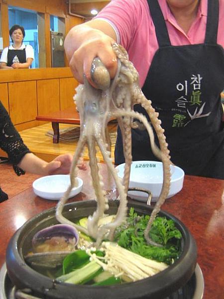 韓国の珍味珍食！