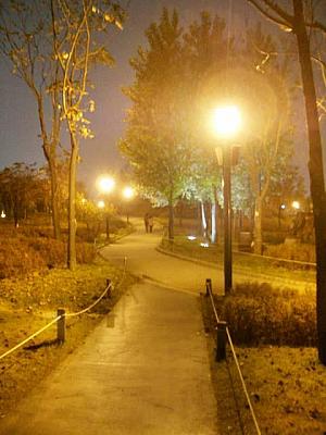 夜の仙遊島公園に行ってきました！