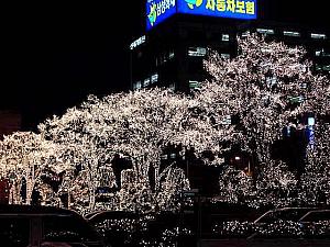 ソウルのクリスマスイルミネーション特集！【2000年】 クリスマス イルミネーション ソウルのクリスマス 韓国のクリスマス 冬のイルミネーション ソウルのイルミネーション ルミナリエ韓国のイルミネーション