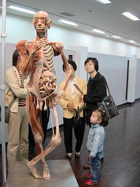 REAL BODY 「人体の神秘」展　【２００２年】