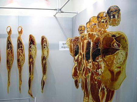 REAL BODY 「人体の神秘」展　【２００２年】