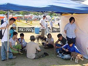WORLD DOG FESTIVAL　【２００２年】