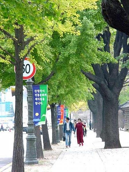 ソウルの紅葉と落葉のストリート！【２００４年】