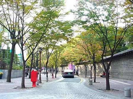 ソウルの紅葉と落葉のストリート【２００５年】