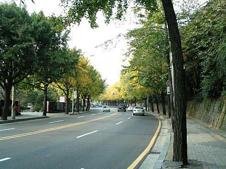 ソウルの紅葉と落葉ストリート！【２０１１年】