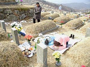 旧正月、韓国人の過ごし方 韓国の旧正月 ソルラル 韓国の正月 韓国のお正月 チェサ 歳拝セベ