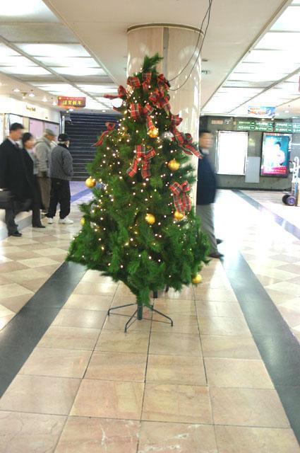 写真で見る釜山のクリスマス！【２００５年】