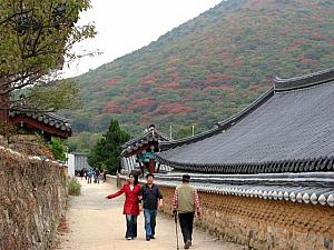 写真で見る釜山・梵魚寺の紅葉！【２００６年】