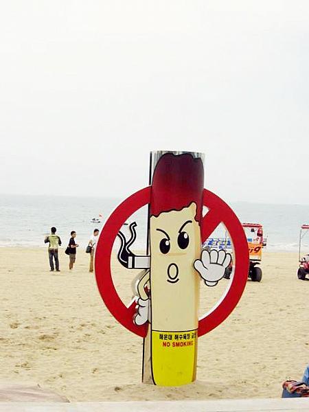 砂浜での禁煙を大きく呼びかけていますね☆『貝殻を探しているのにたばこの吸殻ばっかり出てきた！』 」というような広告まで。 