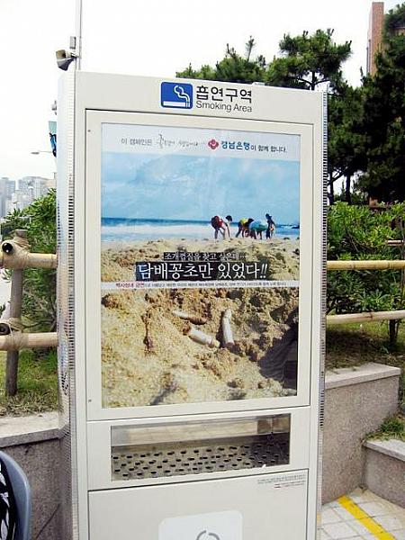 砂浜での禁煙を大きく呼びかけていますね☆『貝殻を探しているのにたばこの吸殻ばっかり出てきた！』 」というような広告まで。 