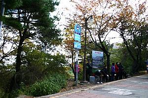 写真で見る釜山の紅葉！【２００８年】