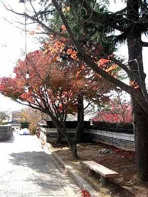 写真で見る秋の慶州！【２００８年】