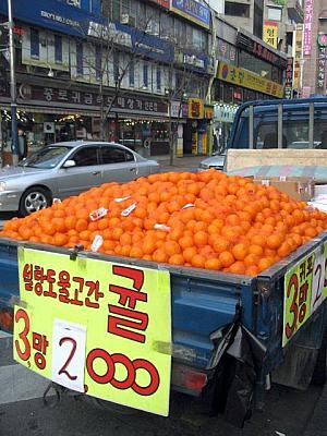 冬の果物の代表格！ミカンは３袋で2,000ウォン～