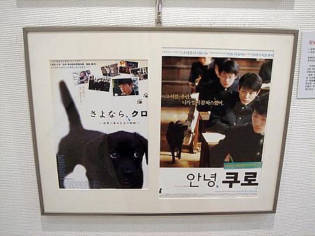 日本版は主役のクロがメイン。韓国版は犬、よりも主役で韓国でも人気の妻夫木聡の方が大きく登場。韓国版は２人の関係が見えてくるような。 