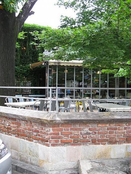 木々に囲まれたガーデン席が人気の洋食レストラン「AGIO」 
