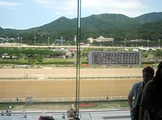 ちえの留学特派員レポート・第４回「エバーランドpart２＆韓国の競馬場に行って来ました！｣
