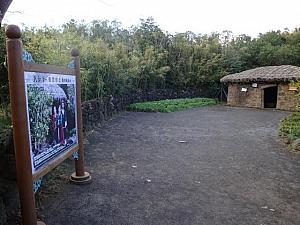 
（朝鮮時代以降、済州島に伝わる民俗資料を整理して展示した博物館。チャングムの撮影地でその関係の資料館もあります。黒豚は本物！ならではの光景でした）