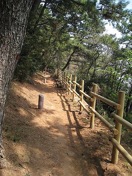「段々釜山が好きになってきたかもしれないＤＫ」主婦特派員報告・第４回、松林に透ける海～タルマジ峠の散歩道