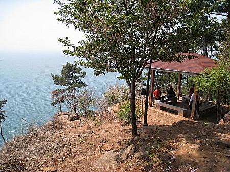「段々釜山が好きになってきたかもしれないＤＫ」主婦特派員報告・第４回、松林に透ける海～タルマジ峠の散歩道