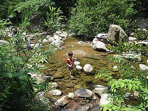 「段々釜山が好きになってきたかもしれないＤＫ」主婦特派員報告・第５回「渓流遊びもできる、海雲台新都市のデチョン公園」