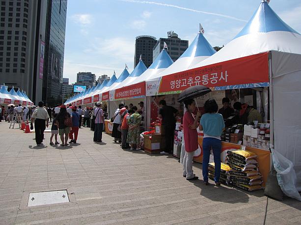 今日（９月４日）から明後日の日曜日までソウル市庁前の広場で「ＨＯＴフェスティバル」が開催されるってことで、お昼過ぎに行って見ました！今日はお天気が良いこともあって結構たくさんの人達が来ているみたいです！
