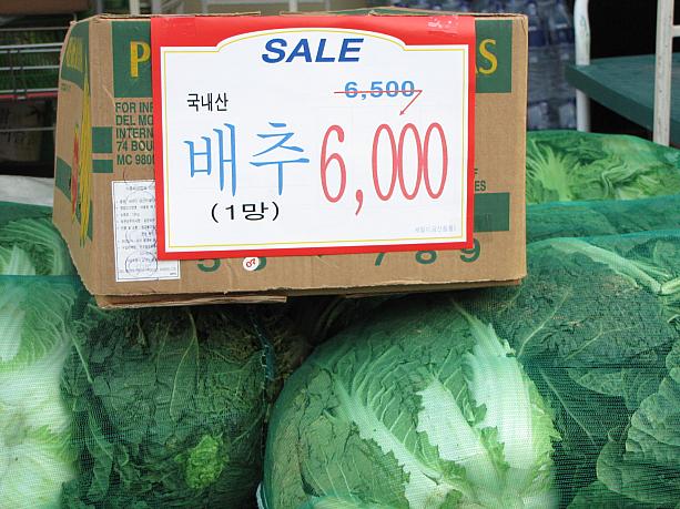 でーっかい白菜３個が網に包まれてますが、この１組がセールで６０００ウォン～！？さすが「キムジャン」の季節！白菜が破格の値段であります！