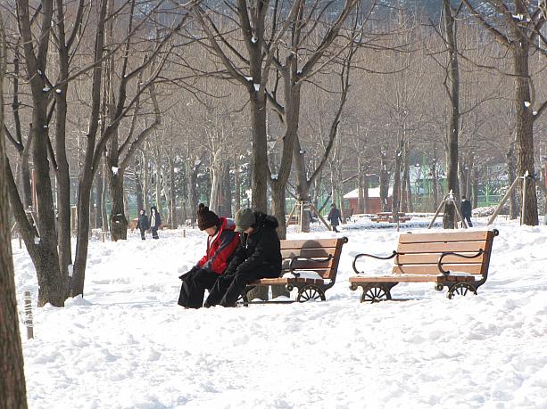もう、どこが道か分りません・・・^^；でも雪の中のベンチに座るのは気持ちが良さそう！？