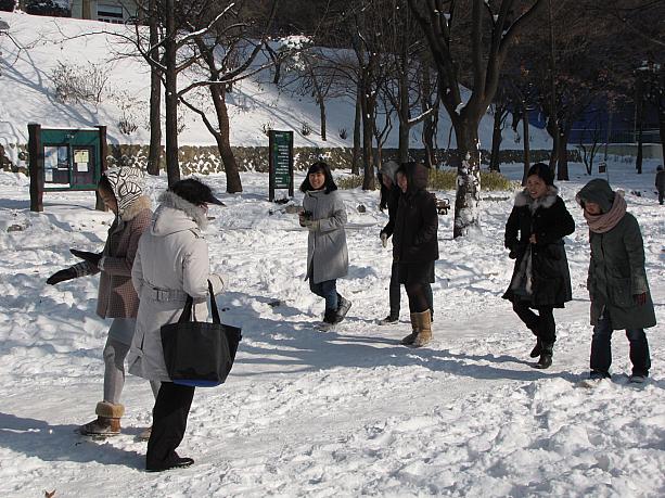 大人だってこんだけ雪があればテンション上がります！^^気象庁によれば今週はずっと最高気温がマイナス６度から２度という状態。ソウルに来られる予定の方は十分な寒さ対策＆雪道でもころばない靴でお越しください！