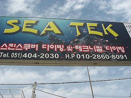韓国でダイビングパート3 スキューバダイビング 釜山の海 影島チャガルチマダン