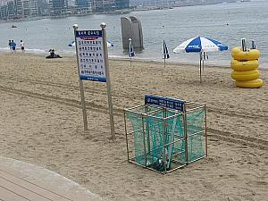 釜山のビーチで海水浴
