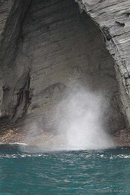 クジラの噴気孔と呼ばれる水中洞窟。外からは小さな穴しか見えませんが、もぐってみれば大きい洞窟になっていると。潮吹きの瞬間！