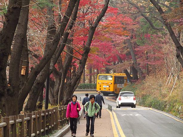 まだきれいな赤や橙、黄の鮮やかな紅葉が見られ、おしゃべりしながら歩く人たちとすれ違ったり。